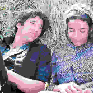 Days of Heaven (1978) Starring Richard Gere on DVD