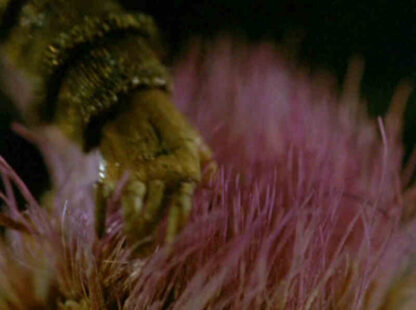 De Artificiali Perspectiva (1991) Starring Witold Schejbal on DVD - Image 4