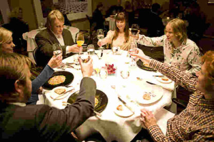 De Gales hus (2008) with English Subtitles on DVD