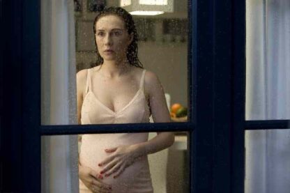 De gelukkige huisvrouw (2010) with English Subtitles on DVD - Image 2