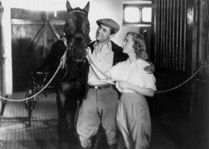 De røde heste (1950) with English Subtitles on DVD - Image 2