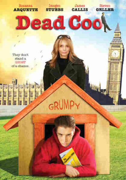 Dead Cool (2004) Starring Steven Geller on DVD