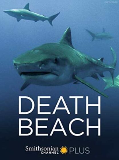 Death Beach (2012) Starring  on DVD