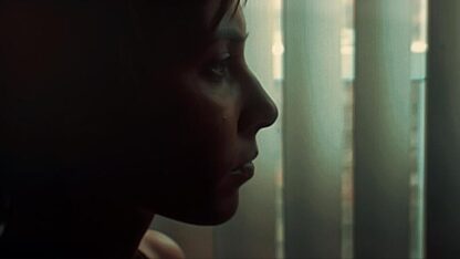 Death Do Us Part (2010) Starring Felicia Danisor on DVD - Image 4