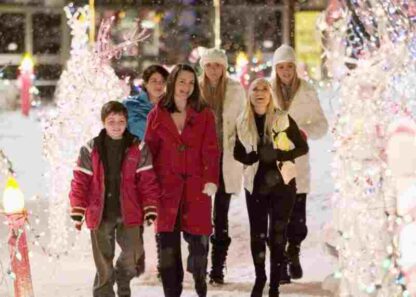 Deck the Halls (2006) Starring Danny DeVito on DVD - Image 2