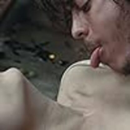 Deep in the Woods (2010) with English Subtitles on DVD - Image 2