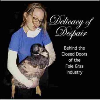 Delicacy of Despair (2003) Starring on DVD