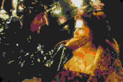 Delicatessen (1991) with English Subtitles on DVD - Image 3