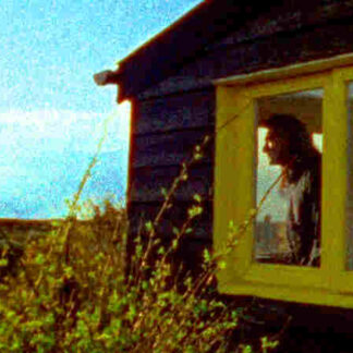 Delphinium: A Childhood Portrait of Derek Jarman (2009) Starring Sam Garfield on DVD