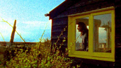 Delphinium: A Childhood Portrait of Derek Jarman (2009) Starring Sam Garfield on DVD