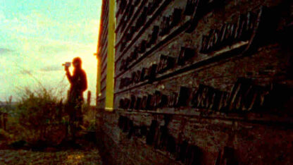 Delphinium: A Childhood Portrait of Derek Jarman (2009) Starring Sam Garfield on DVD - Image 2