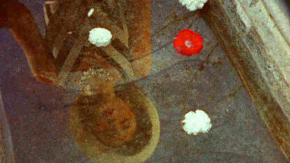 Delphinium: A Childhood Portrait of Derek Jarman (2009) Starring Sam Garfield on DVD - Image 4