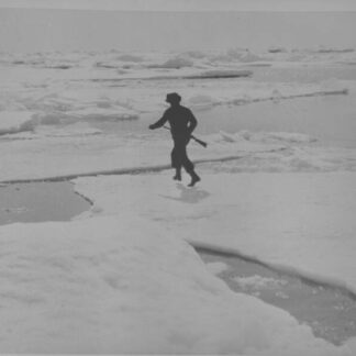 Den starkaste (1929) with English Subtitles on DVD