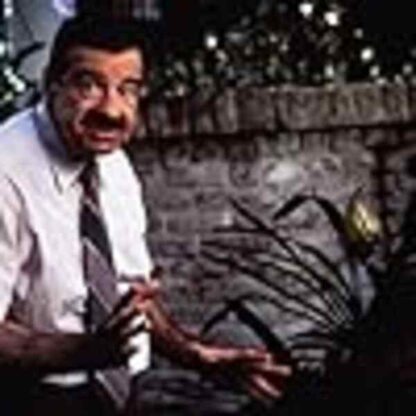 Dennis the Menace (1993) Starring Walter Matthau on DVD - Image 3