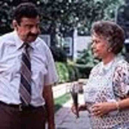 Dennis the Menace (1993) Starring Walter Matthau on DVD - Image 4
