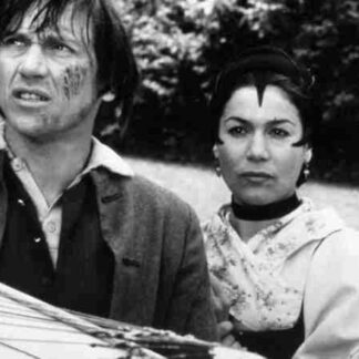 Der Schneider von Ulm (1978) with English Subtitles on DVD