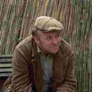 Der nackte Mann auf dem Sportplatz (1974) with English Subtitles on DVD