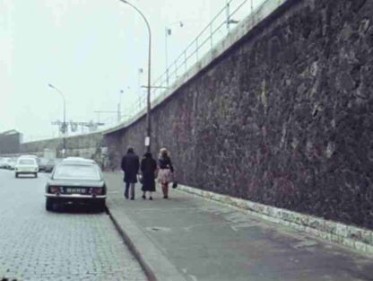 Des journées entières dans les arbres (1977) with English Subtitles on DVD - Image 3