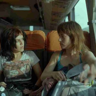 Desierto Sur (2008) with English Subtitles on DVD