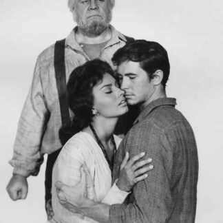 Desire Under the Elms (1958) Starring Sophia Loren on DVD