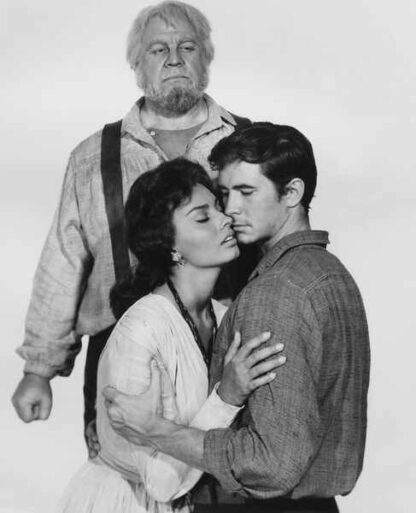 Desire Under the Elms (1958) Starring Sophia Loren on DVD
