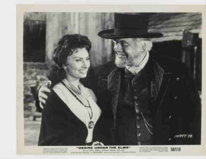 Desire Under the Elms (1958) Starring Sophia Loren on DVD - Image 2