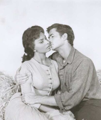 Desire Under the Elms (1958) Starring Sophia Loren on DVD - Image 3