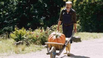 Dialogue avec mon jardinier (2007) with English Subtitles on DVD - Image 3