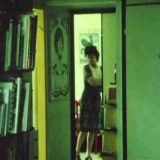 Diary 1973-1983 (1983) with English Subtitles on DVD
