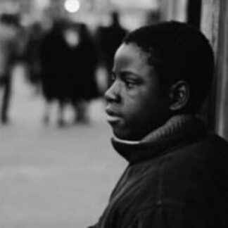 Diary of a Harlem Family (1968) Starring Gordon Parks on DVD