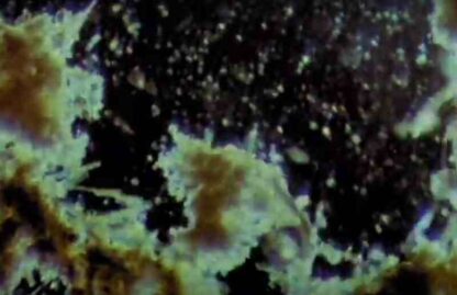 Diatoms (1968) with English Subtitles on DVD - Image 3