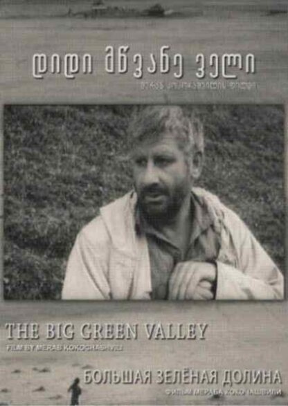 Didi mtsvane veli (1967) with English Subtitles on DVD - Image 4