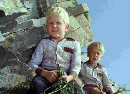 Die sechs Kummerbuben (1968) with English Subtitles on DVD - Image 3
