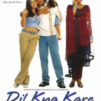 Dil Kya Kare (1999) with English Subtitles on DVD