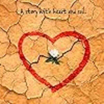 Dirt! The Movie (2009) Starring Jamie Lee Curtis on DVD - Image 3