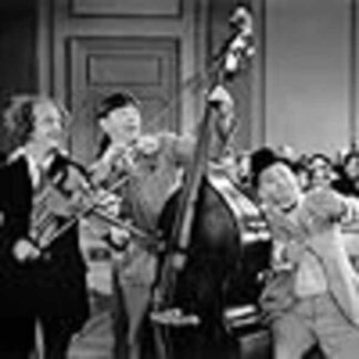 Disorder in the Court (1936) Starring Curly Howard on DVD