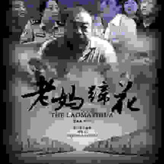 Disturbing the Peace (2009) with English Subtitles on DVD