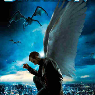 Divination (2011) Starring D'Angelo Midili on DVD