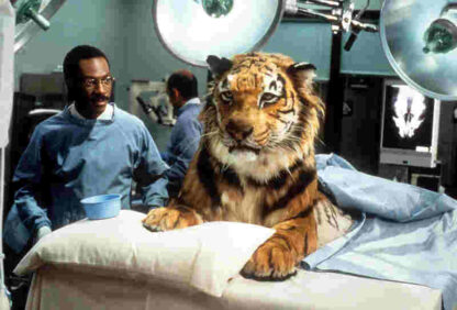 Doctor Dolittle (1998) Starring Eddie Murphy on DVD - Image 3