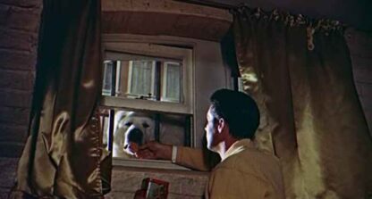 Doctor at Large (1957) Starring Dirk Bogarde on DVD - Image 4