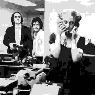Dog Day Afternoon (1975) Starring Penelope Allen on DVD