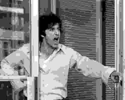 Dog Day Afternoon (1975) Starring Penelope Allen on DVD - Image 3
