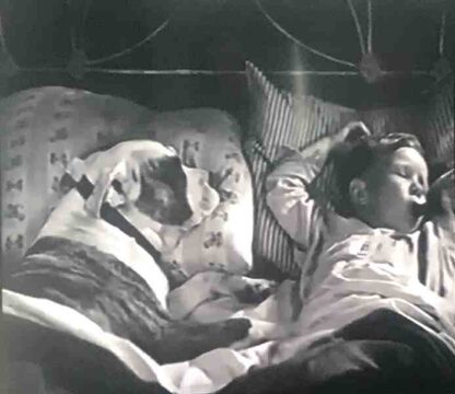 Dogs Is Dogs (1931) Starring Hal Roach's Rascals on DVD - Image 3