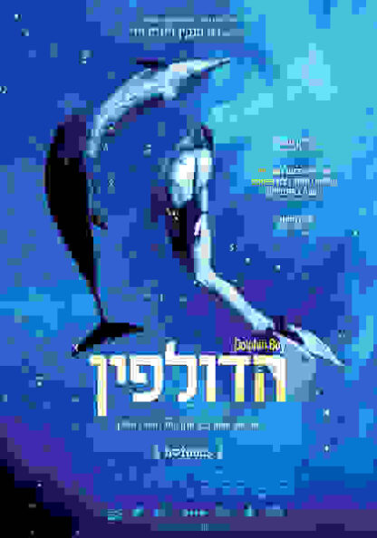 Dolphin Boy (2011) with English Subtitles on DVD - Image 4