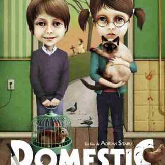 Domestic (2012) with English Subtitles on DVD