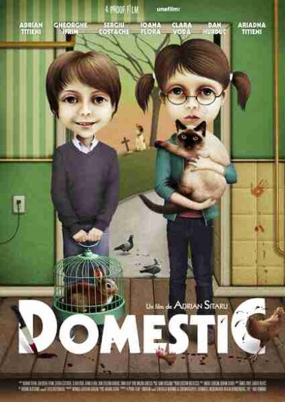 Domestic (2012) with English Subtitles on DVD