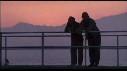 Down and Out in Beverly Hills (1986) Starring Nick Nolte on DVD - Image 4