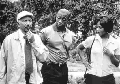 Down in the Delta (1998) Starring Alfre Woodard on DVD
