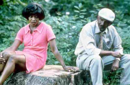Down in the Delta (1998) Starring Alfre Woodard on DVD - Image 3