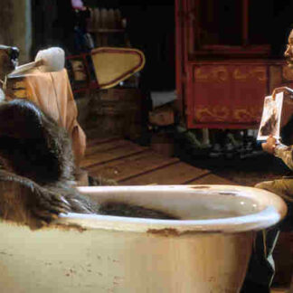 Dr. Dolittle 2 (2001) Starring Eddie Murphy on DVD